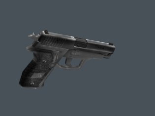 Sig Sauer P-228